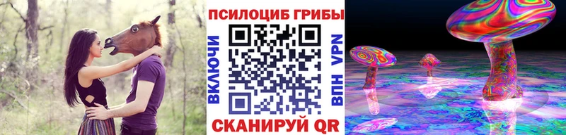 наркошоп Динская Псилоцибиновые грибы MAGIC MUSHROOMS